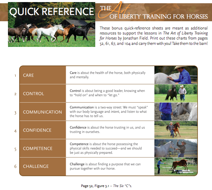 Inside The Art of Liberty Training for Horses